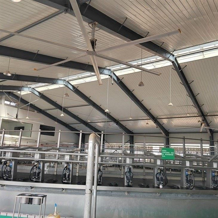 Industrial Fan